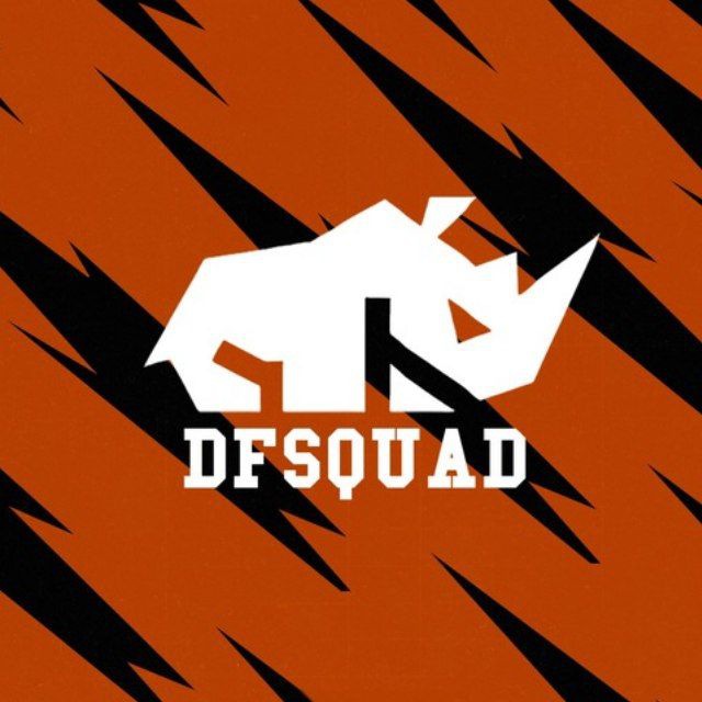 DFSQUAD